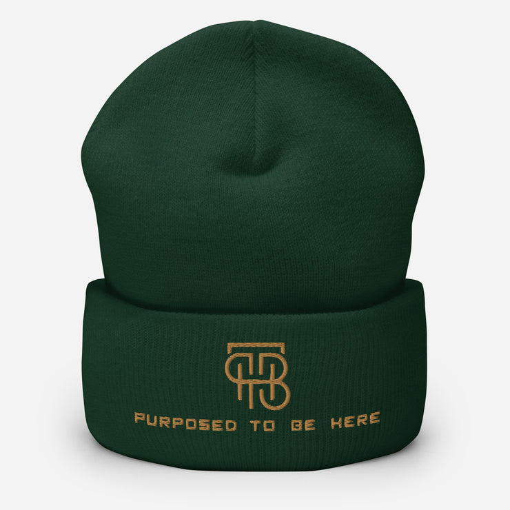 Purposed To Be Here Cuffed Beanie