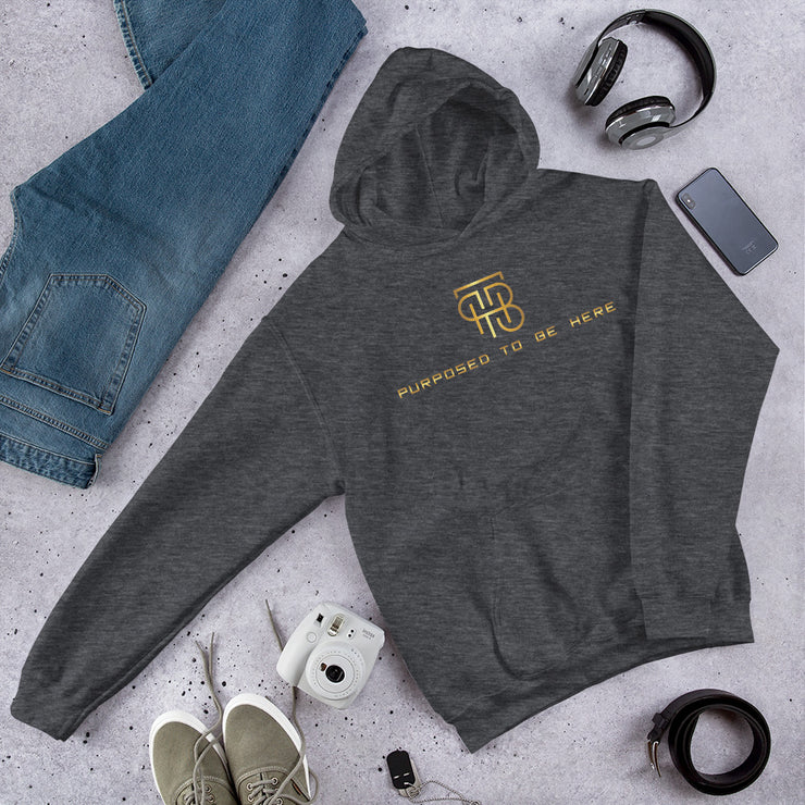 Purposed To Be Here Unisex Hoodie